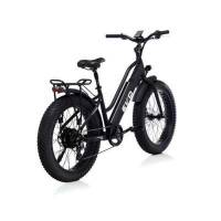 Bicicletta Bad Bike EVO FAT Folding eBike Black Matt 250W