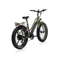 Bicicletta Bad Bike EVO FAT Folding eBike Green Matt 500W