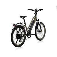 Bicicletta Bad Bike EVO Folding eBike Green Matt 250W
