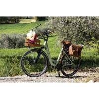 Bicicletta Via Veneto Classic E-bike Lady 26” 6 Speed VVE62L Verde Giulietta