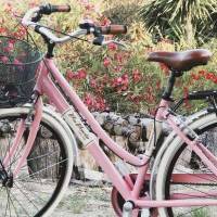 Bicicletta Via Veneto Elegance Lady 28” Eighteen Speed VV615AL Rosa Diva